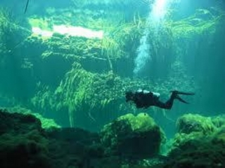  Casa Cenote 